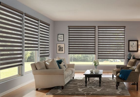 motorized zebra shades