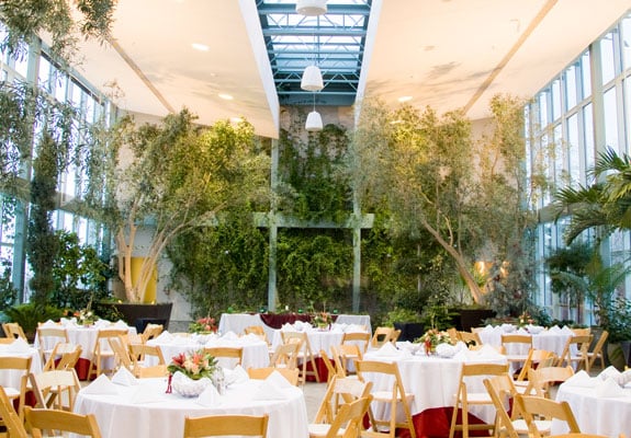 restaurant bar audio multi zone